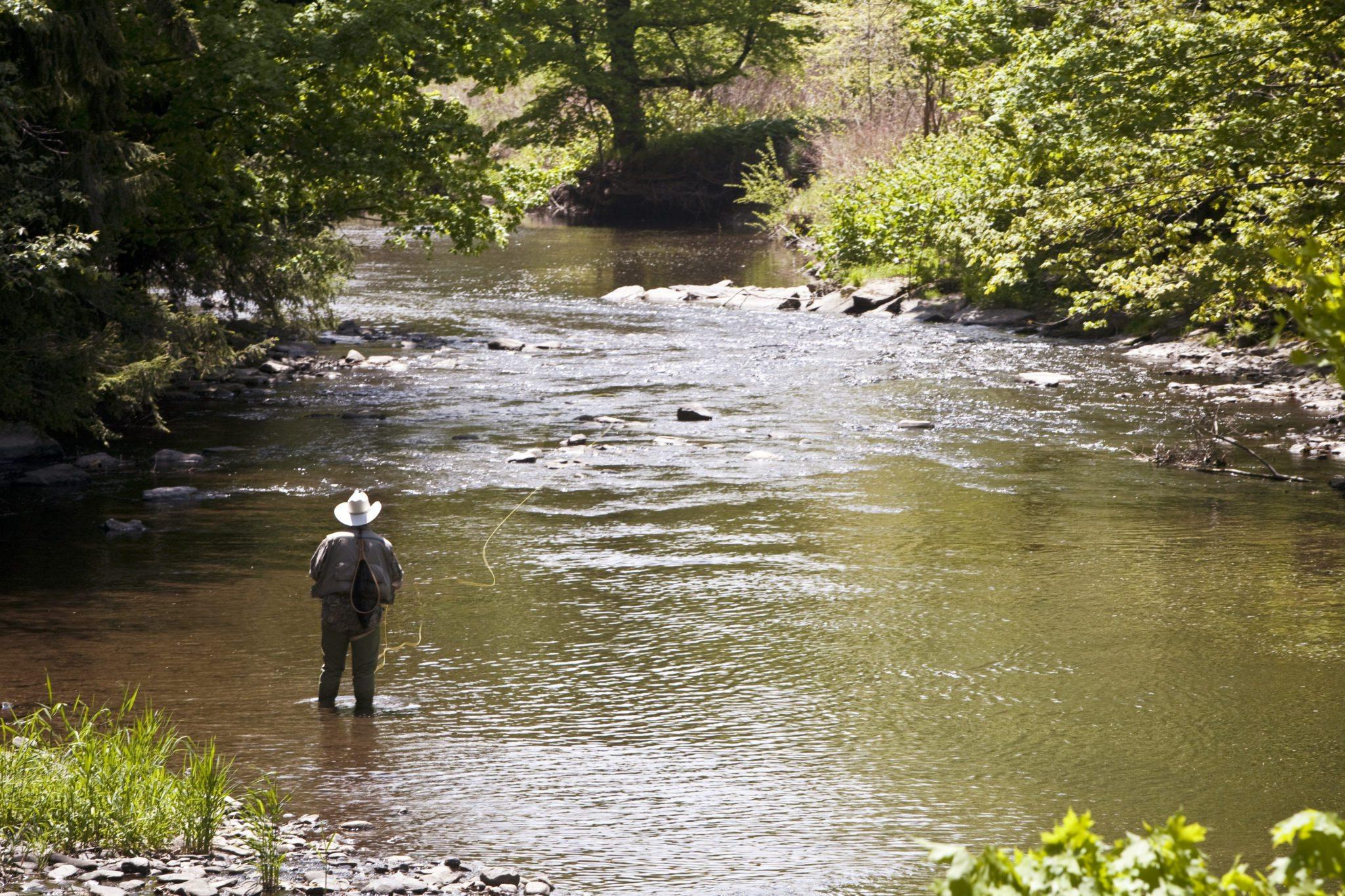 一名男子在基斯顿大学校园内的纳科米斯溪钓鱼.
